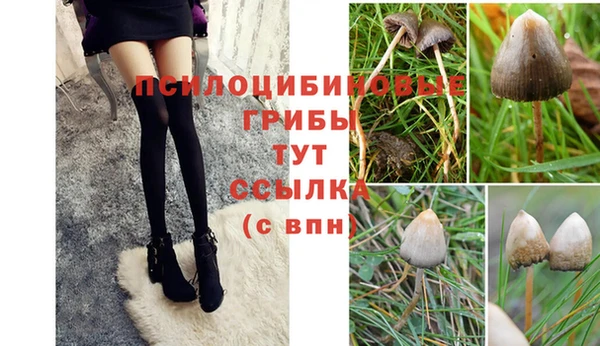 2c-b Остров