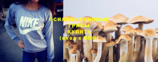 экстази Осташков