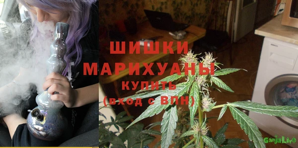 молекула духа Ветлуга