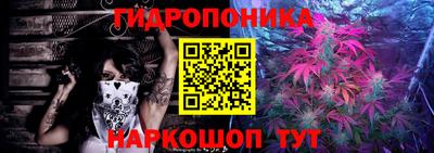 гашик Аргун