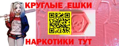 гашик Аргун