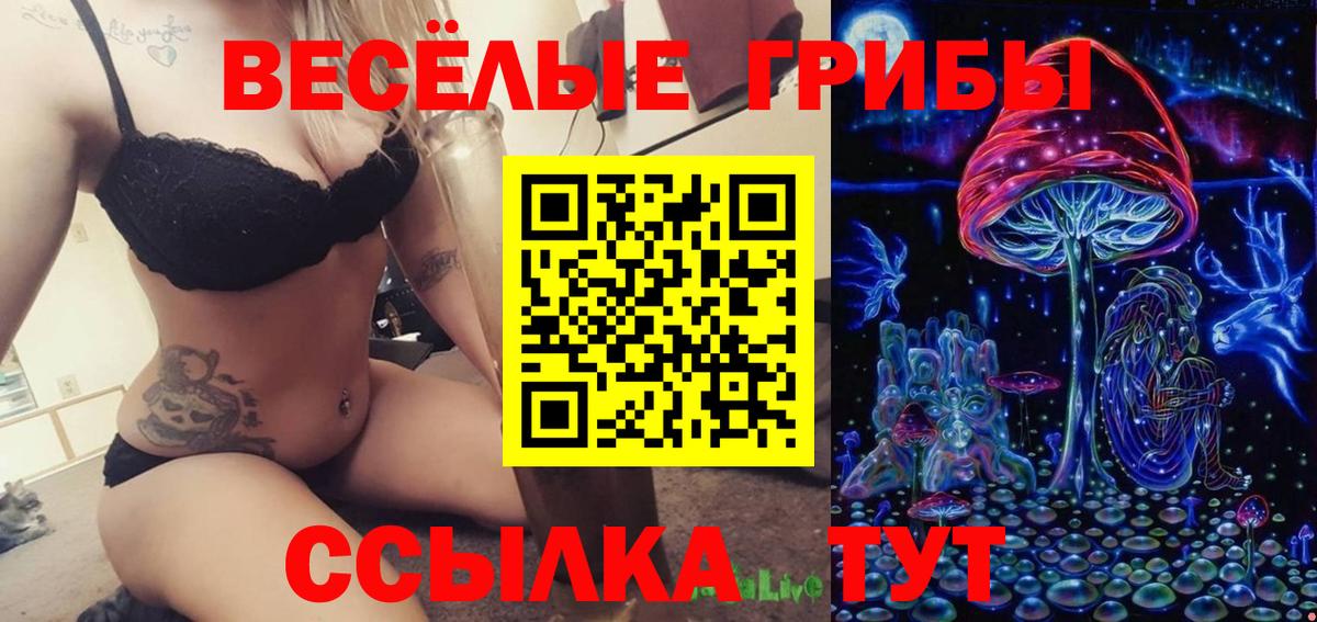 Псилоцибиновые грибы мухоморы Скопин