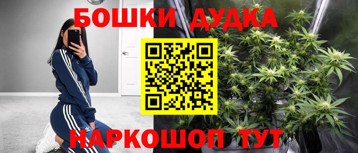 Конопля OG Kush  Канабис марихуана  Скопин  Бошки марихуана планчик 